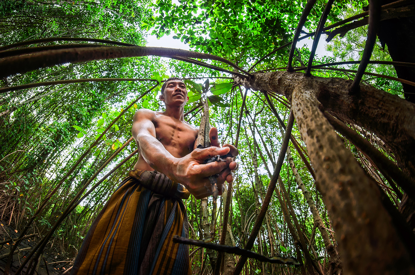 Pahlawan Ekosistem Mangrove